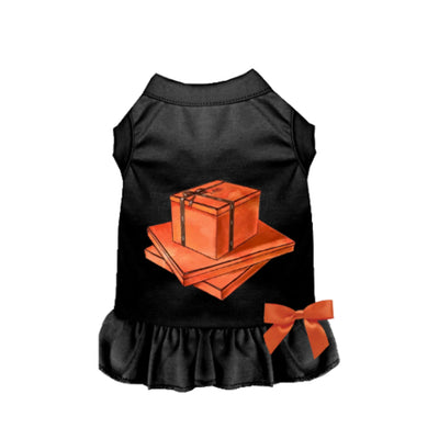 My Favorite Color Orange - Your Pet Connection
