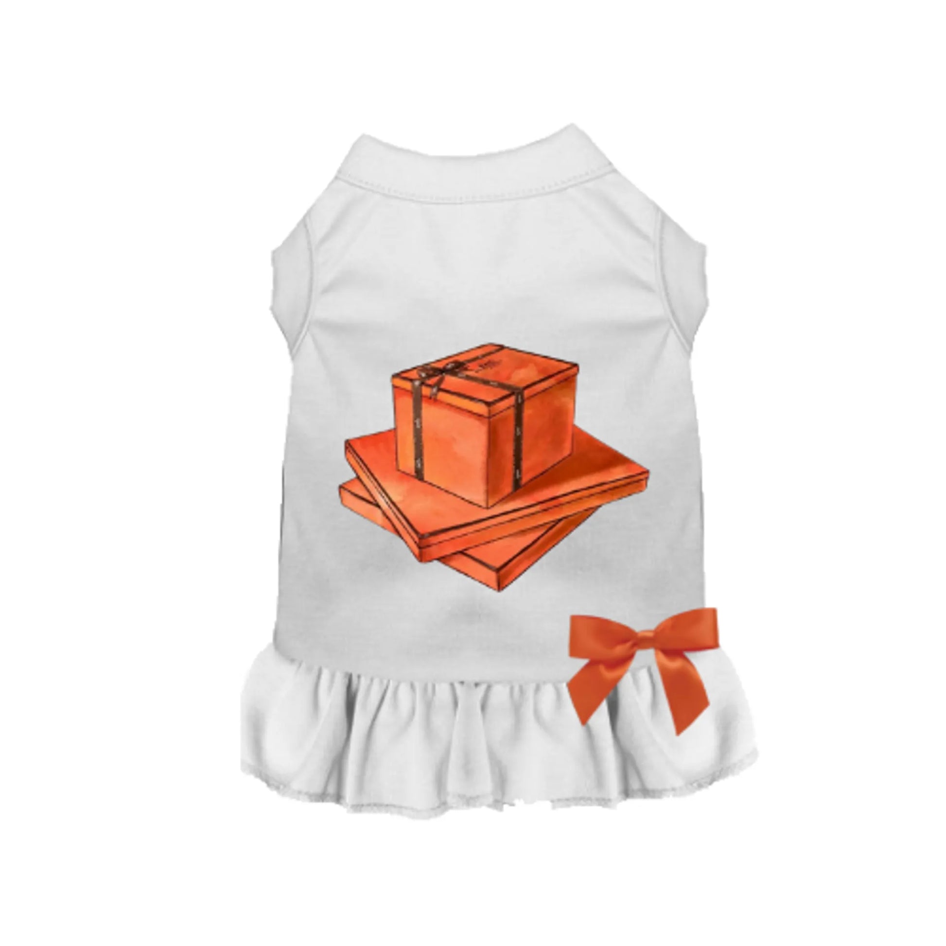 My Favorite Color Orange - Your Pet Connection