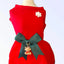 My Favorite Holiday Dress - Your Pet Connection