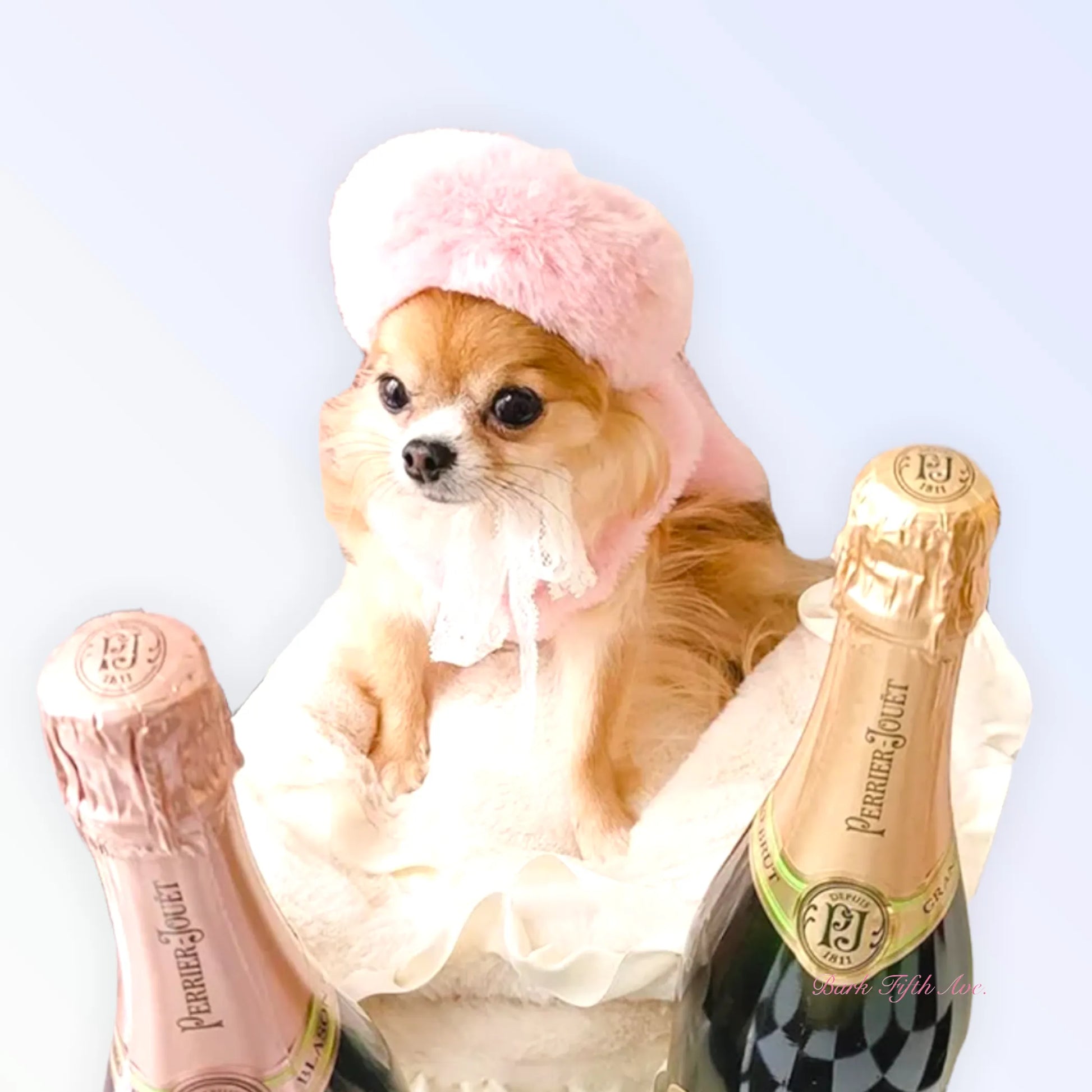 My Furry Beret - Your Pet Connection