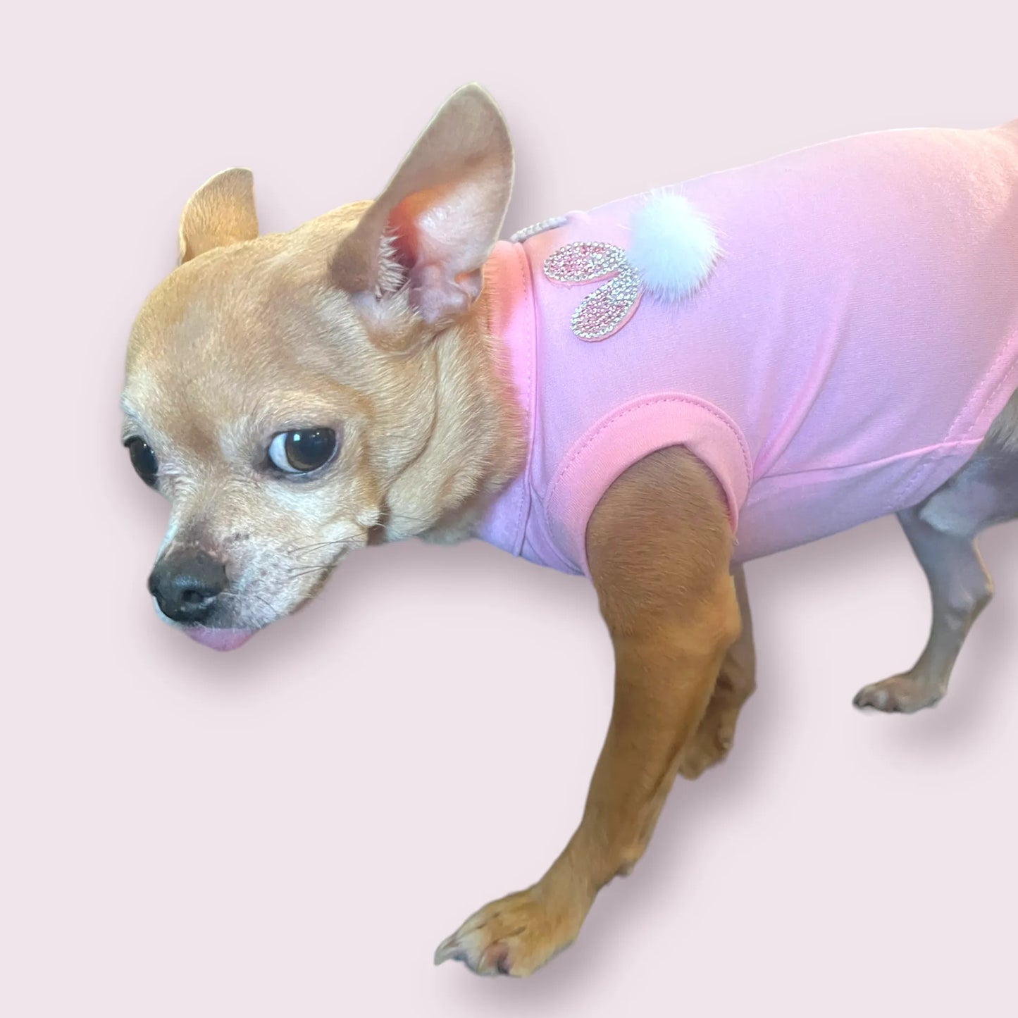 Bark Fifth Avenue Sleeveless Dog Shirt with Bunny Applique