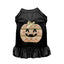 My GG Pumpkin - Color: Black | Pack Of: 1 - Your Pet Connection