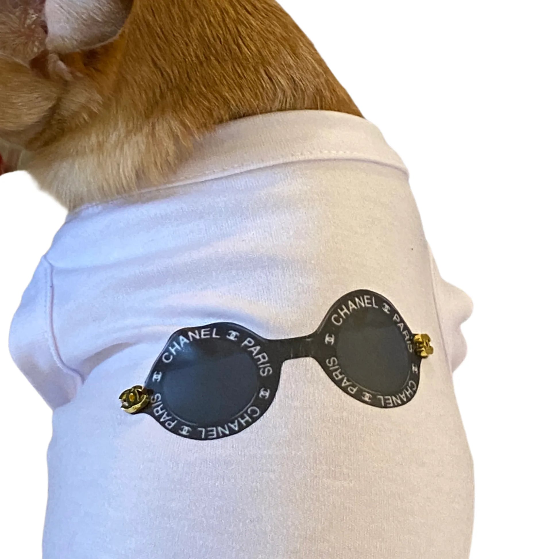 My Summer CC Sunnies - Your Pet Connection