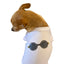 My Summer CC Sunnies - Your Pet Connection