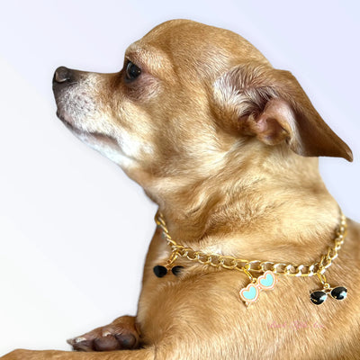 My Summertime Aviator Charm Toggle Necklace - Your Pet Connection