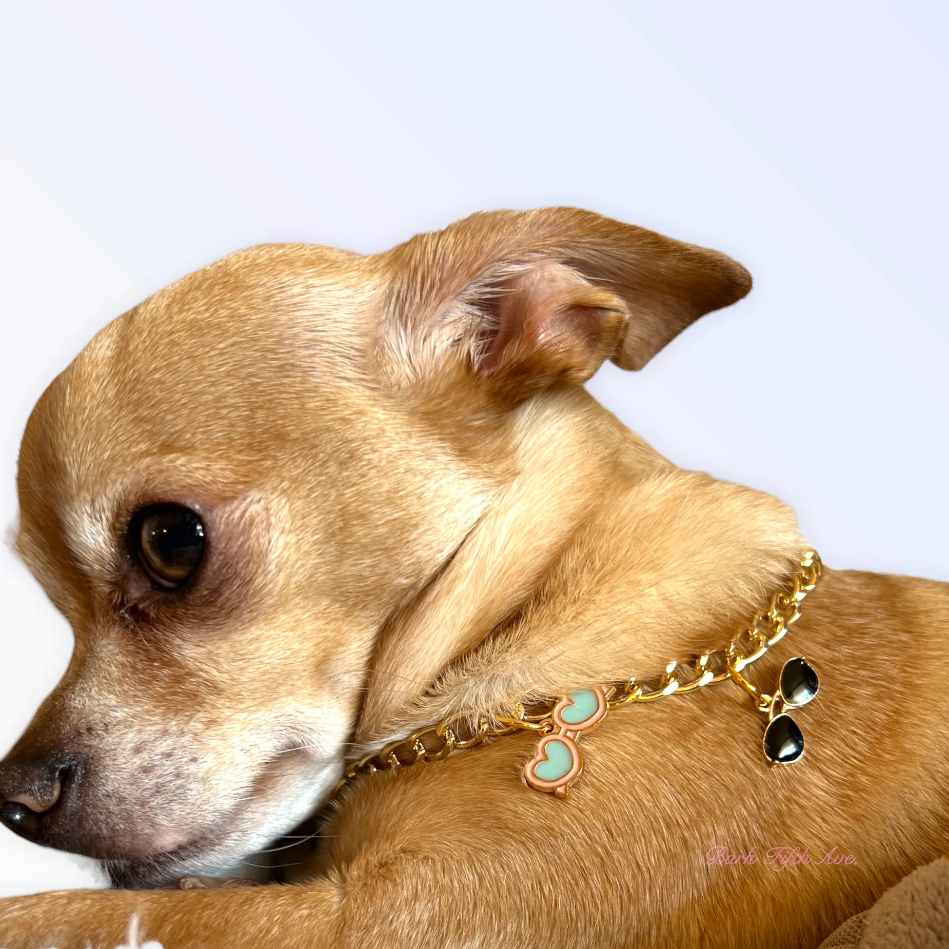 My Summertime Aviator Charm Toggle Necklace - Your Pet Connection