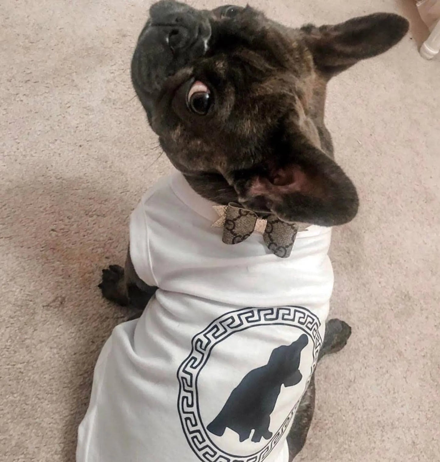 Bark Fifth Avenue Pawsace Dog Shirt Small