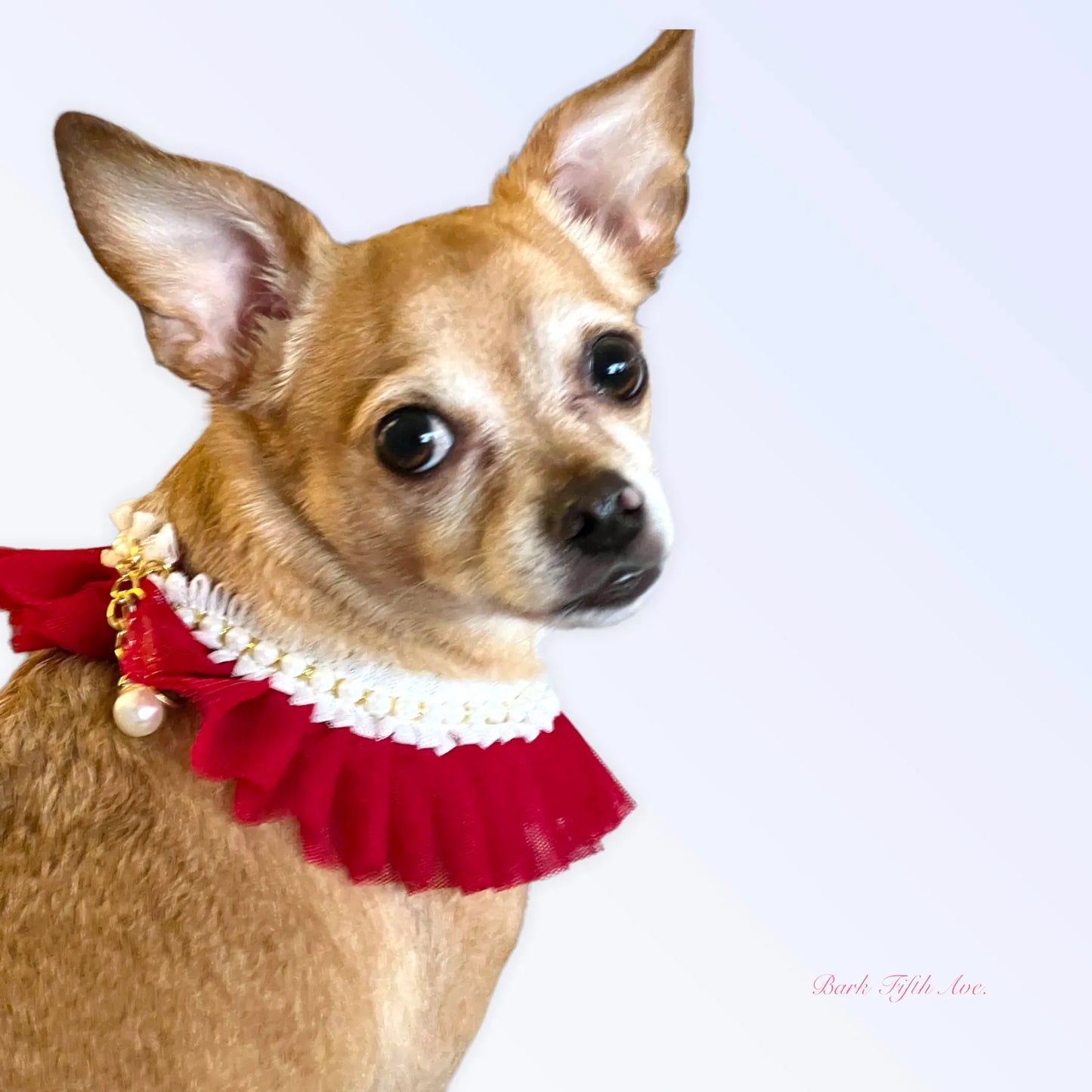 Bark Fifth Avenue Tulle Dog Collar with Pearls
