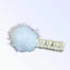 Pearlella Clips - Your Pet Connection