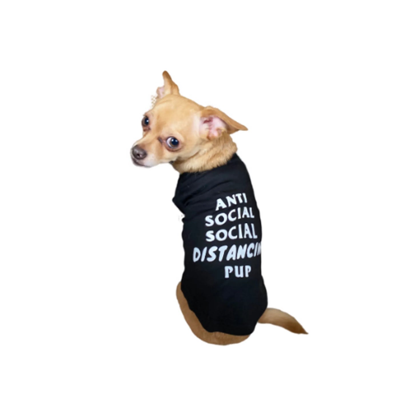Anti Social Social Distancing Pup - Pack Of: 1 - Your Pet Connection
