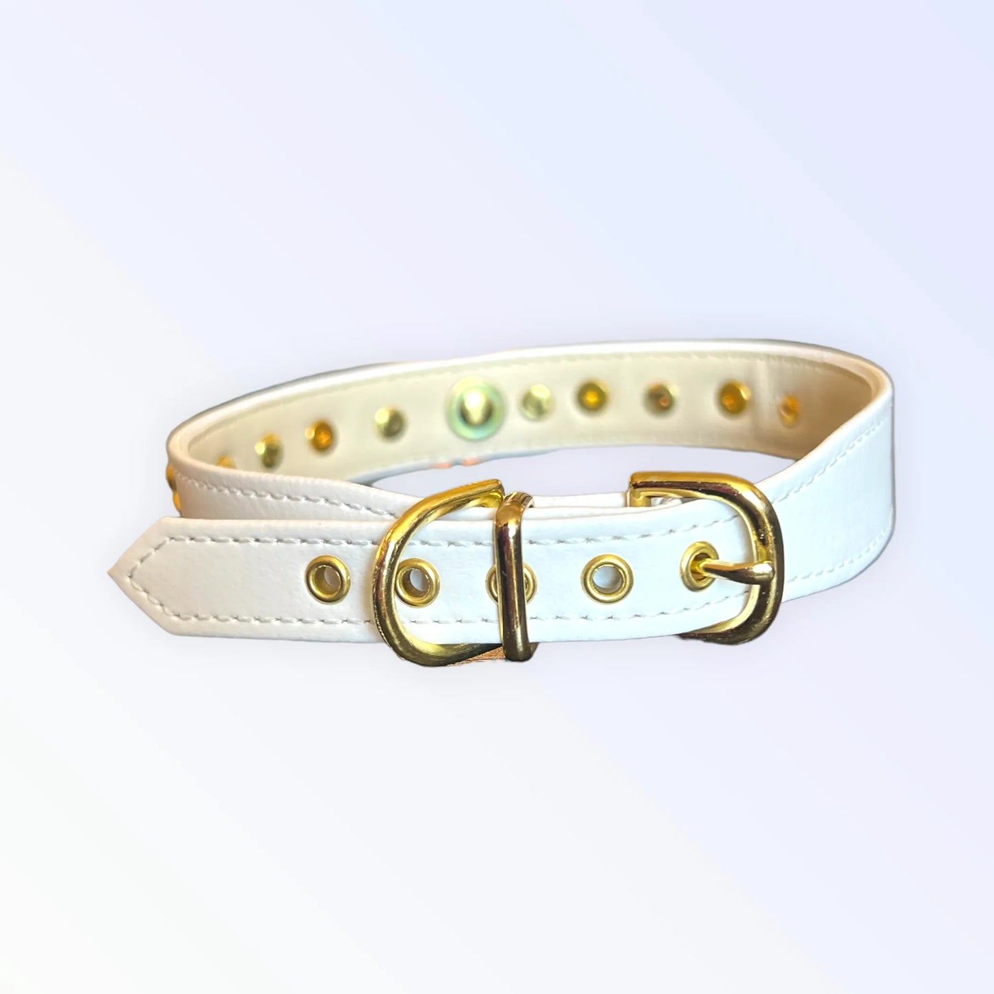 Popstar Studded Collar - Your Pet Connection