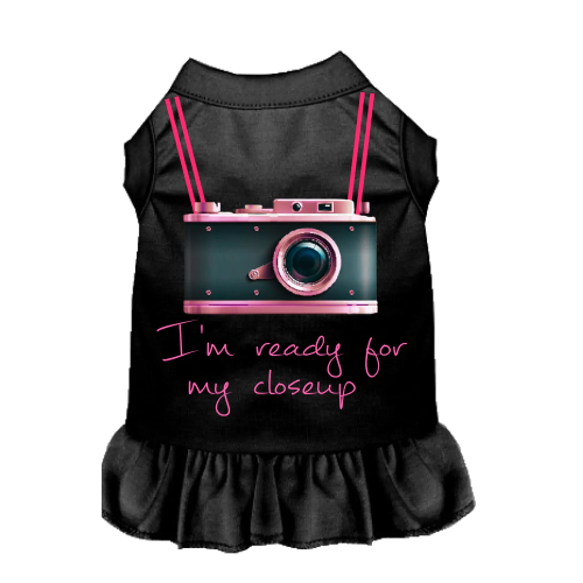 Ready For My Closeup - Your Pet Connection