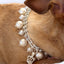 Rhinestone & Pearl Crown Necklace - Your Pet Connection