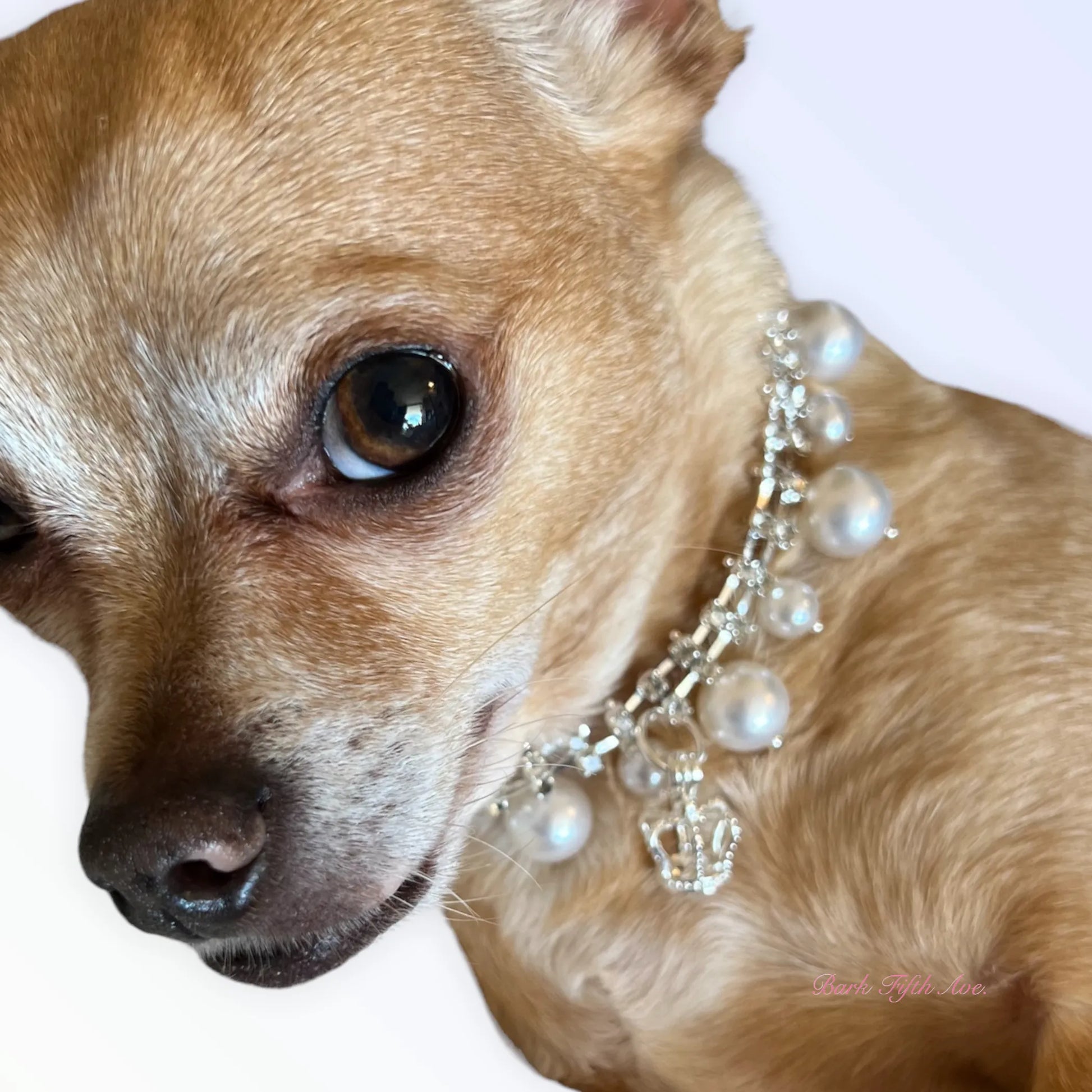 Rhinestone & Pearl Crown Necklace - Your Pet Connection