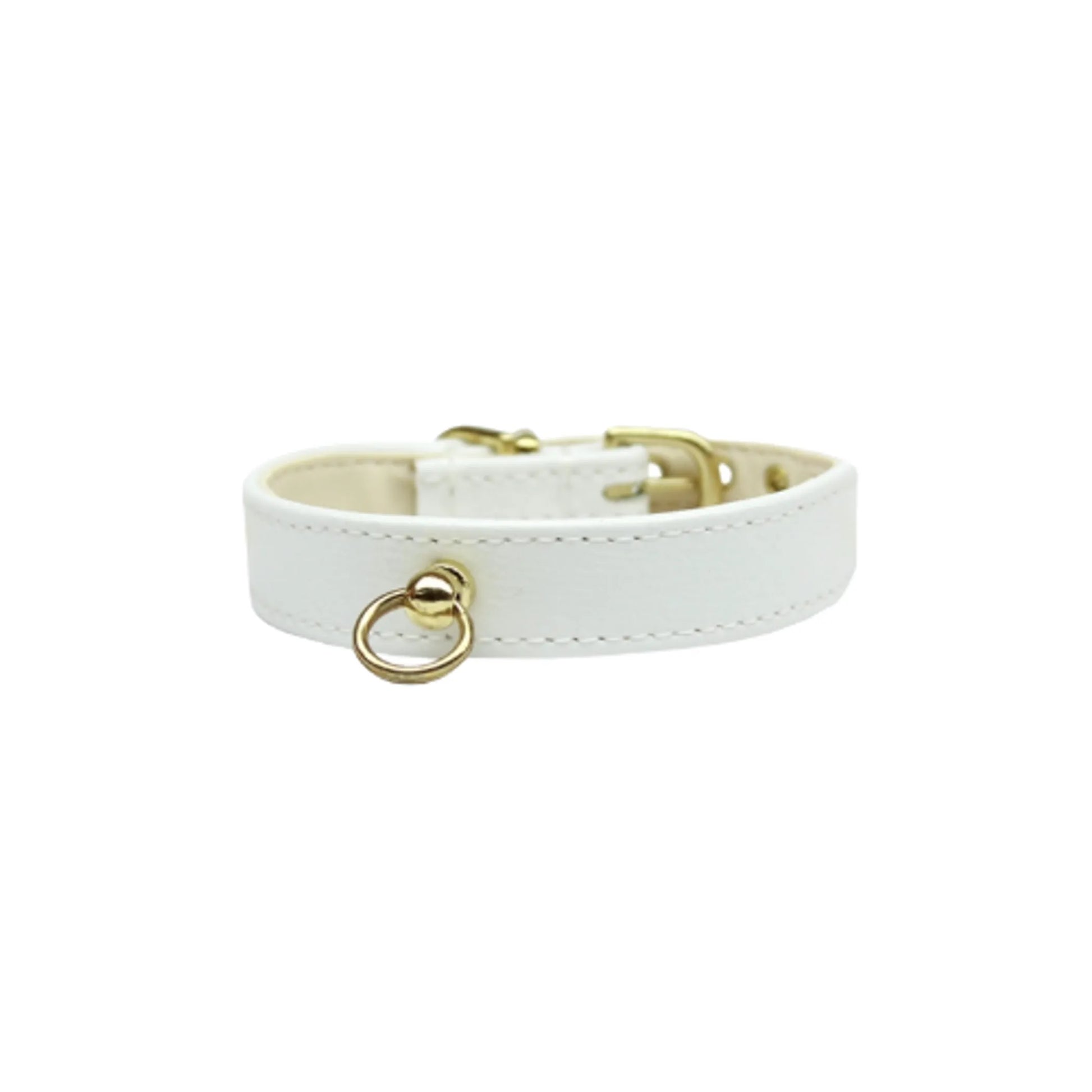 Azure CC Collar - Your Pet Connection