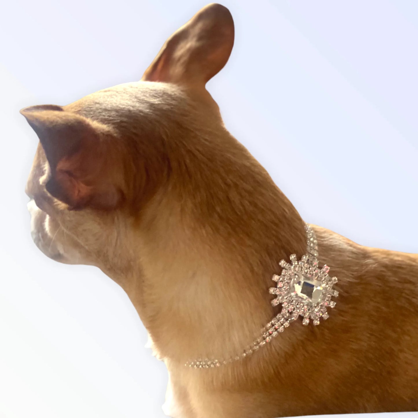 Silver Rectangle Burst Stone - Your Pet Connection