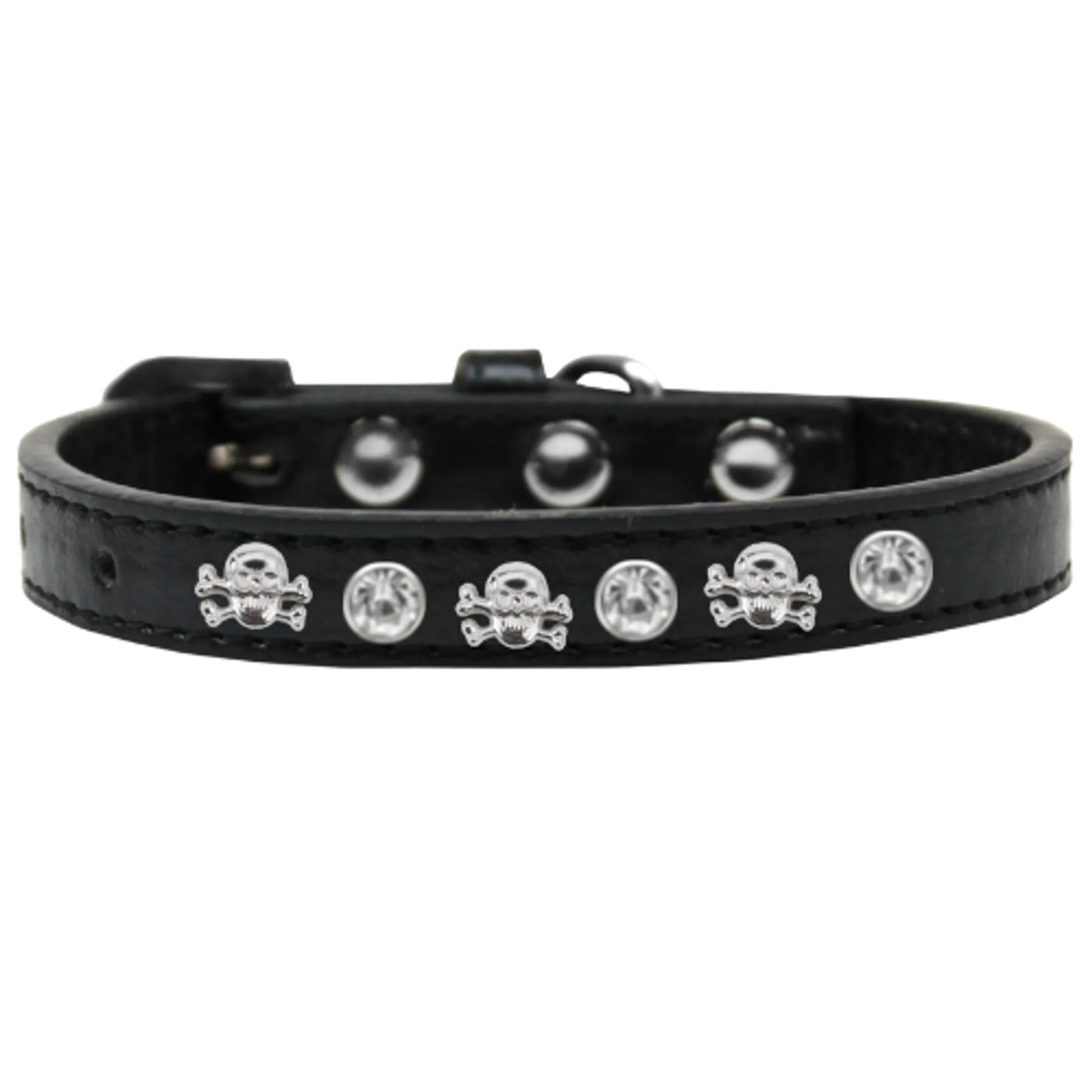 Skull Studded Collar - Your Pet Connection