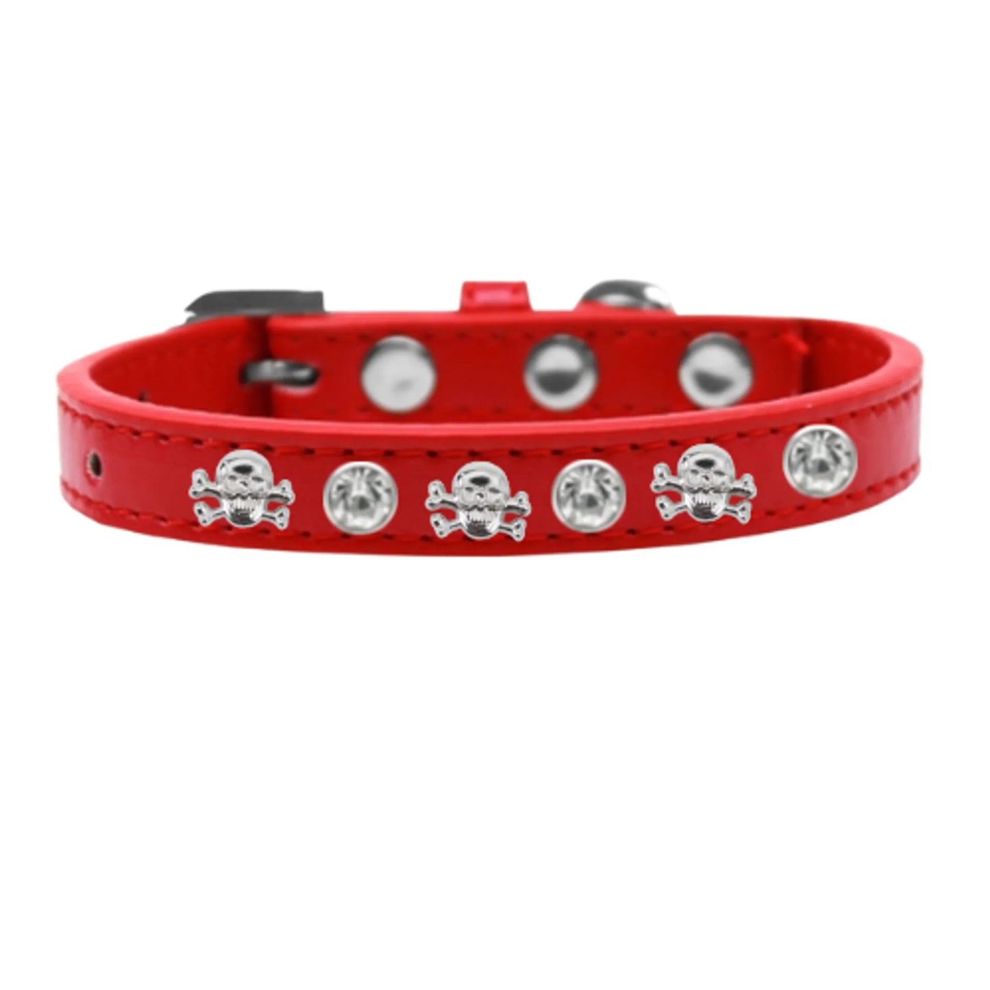 Skull Studded Collar - Your Pet Connection