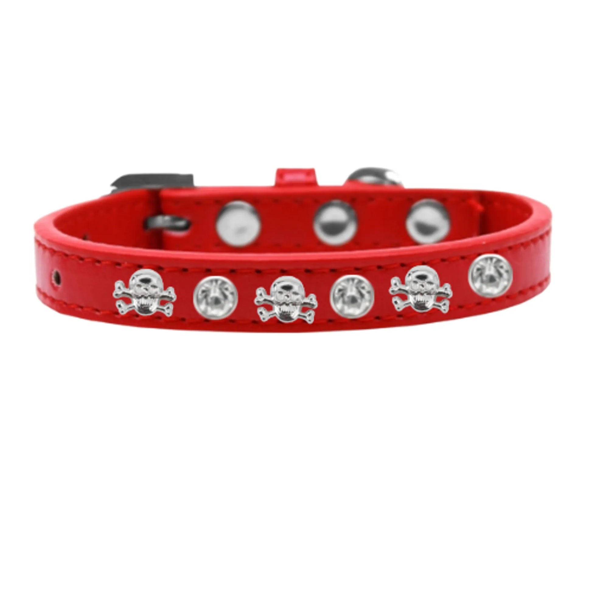 Skull Studded Collar - Your Pet Connection