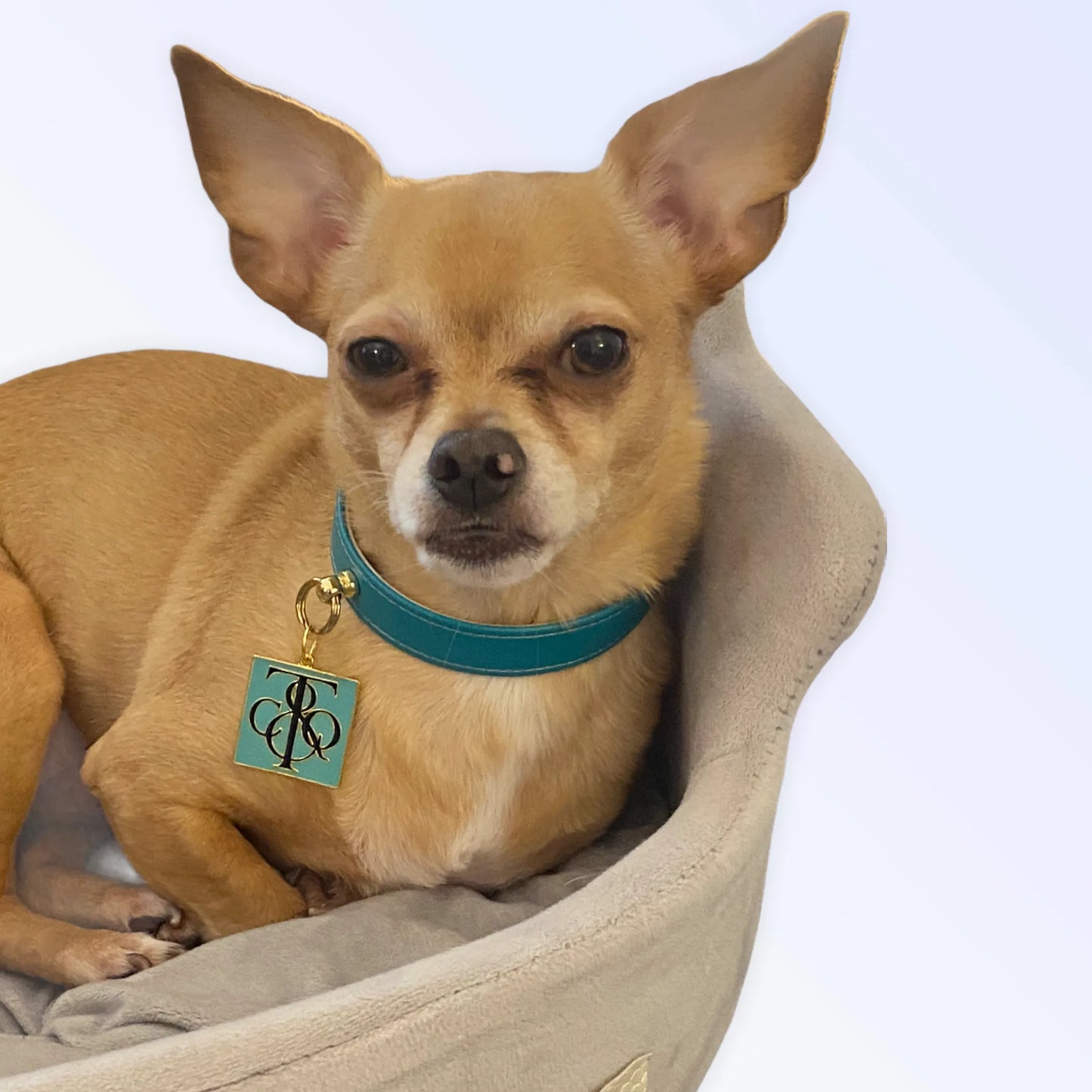 Bark Fifth Avenue Vegan Leather Crystal Dog Collars