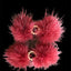 Snowflake Pom Pom Hair Barrettes - Your Pet Connection