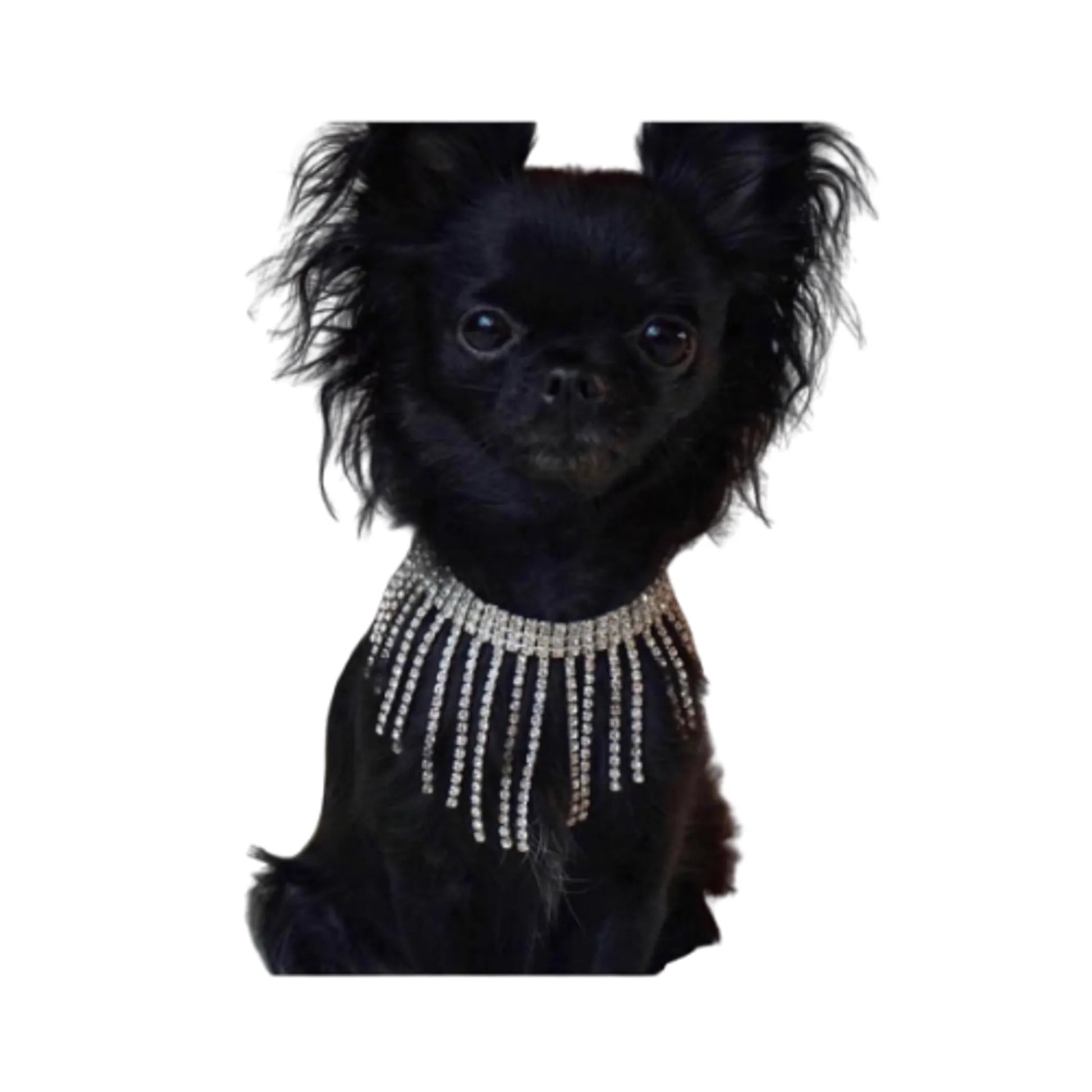 Sparkle Dior Necklace - Your Pet Connection
