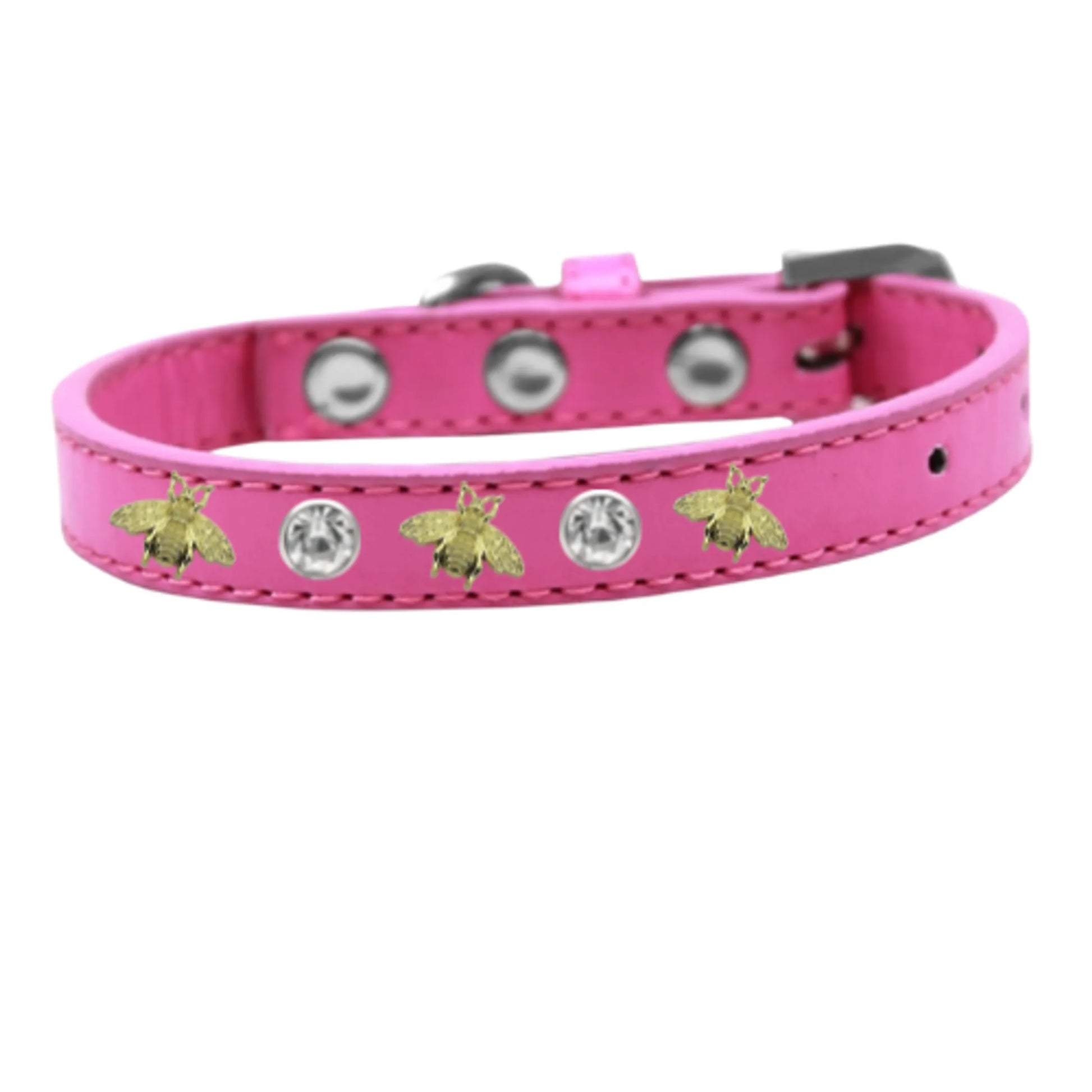 Studded Bee Collar - Your Pet Connection