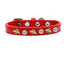 Studded Bee Collar - Your Pet Connection