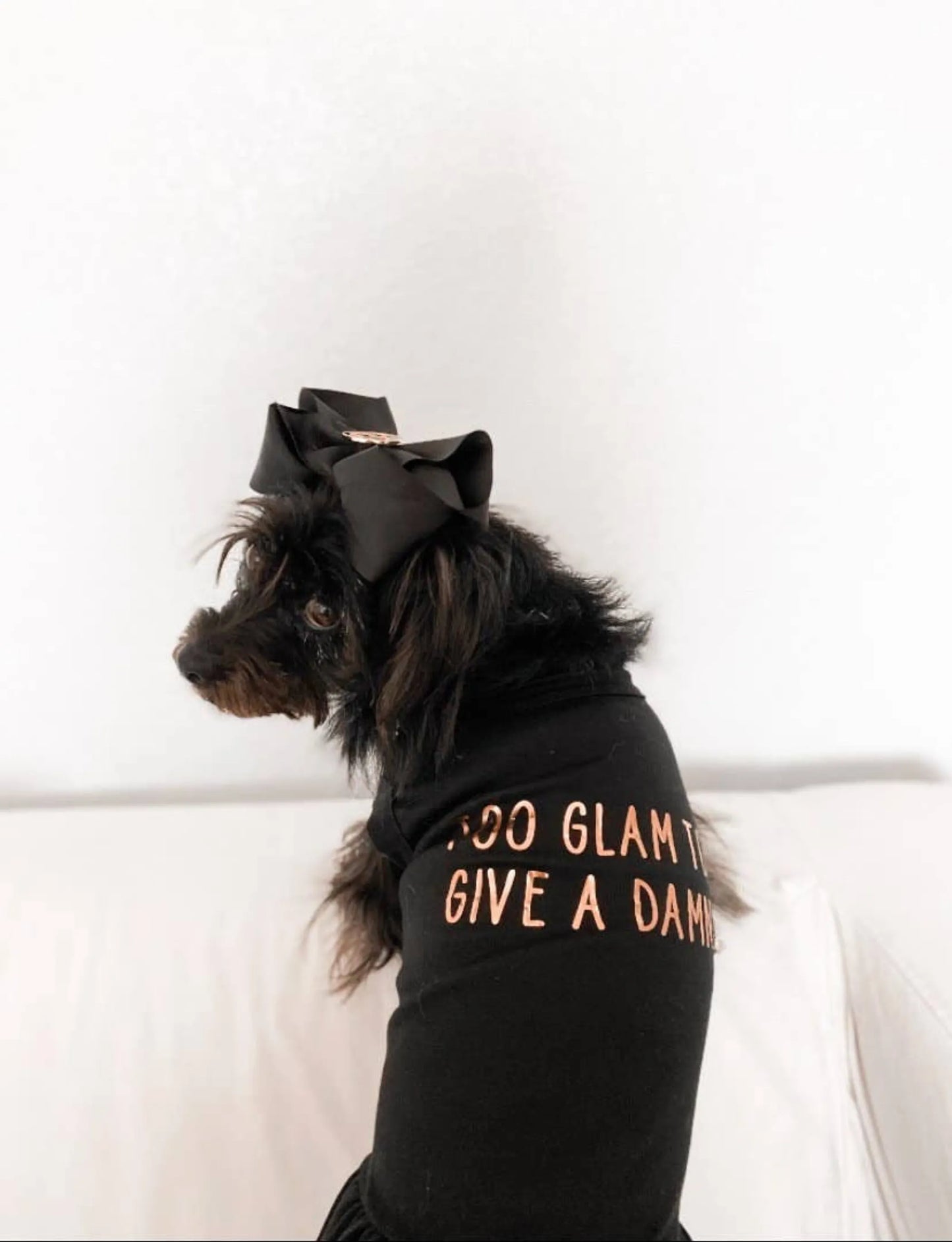 Too Glam to Give a Damn - Your Pet Connection