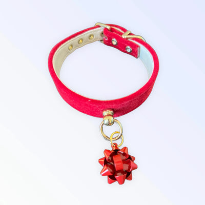 Velvet Gift Wrap Bow Collar - Your Pet Connection