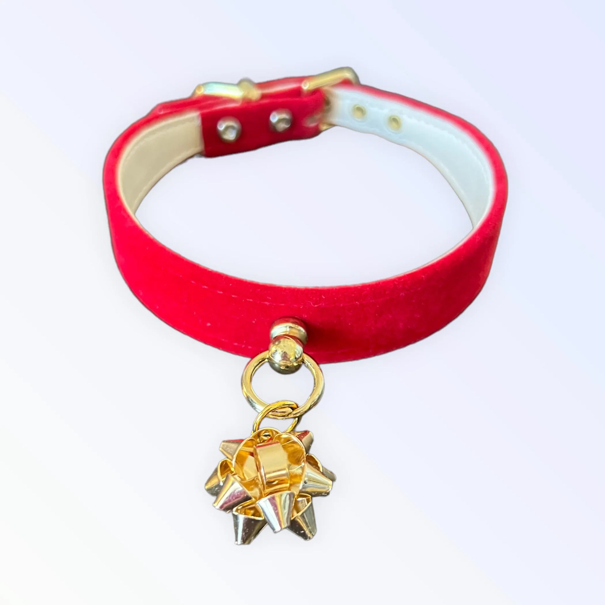 Velvet Gift Wrap Bow Collar - Your Pet Connection