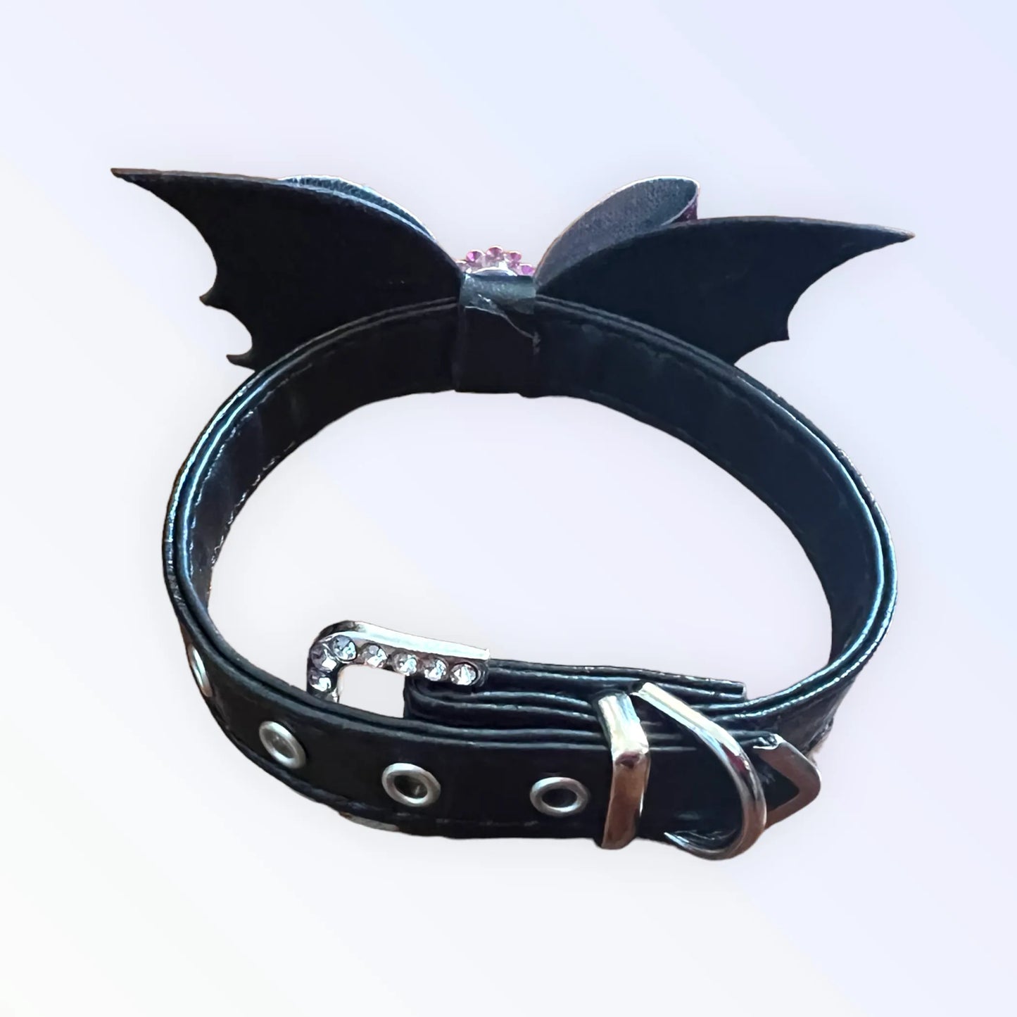Fa-BOO-lous Bat Collar - Your Pet Connection