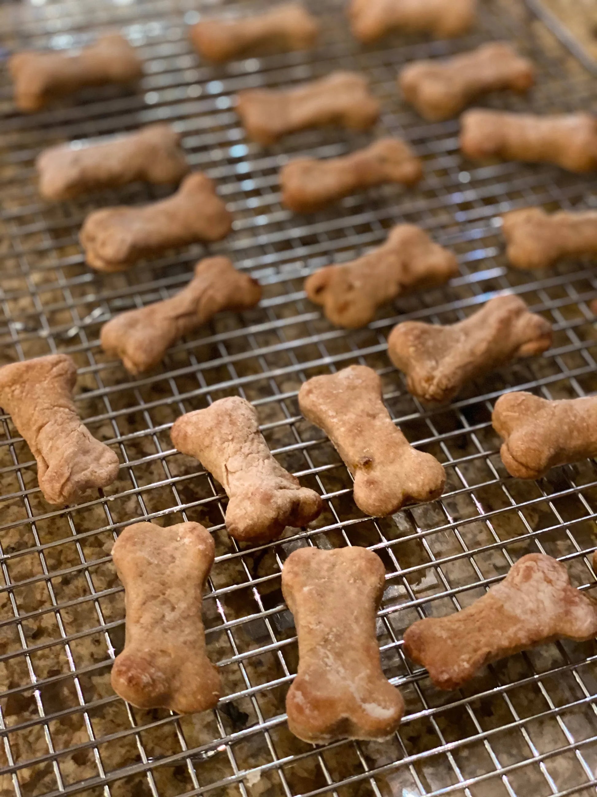 Fabulous  Gourmet Peanut Butter Treats - Your Pet Connection