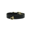 Bee Mine Dog Collar - Your Pet Connection