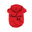 Festive AF Hoodie - Your Pet Connection