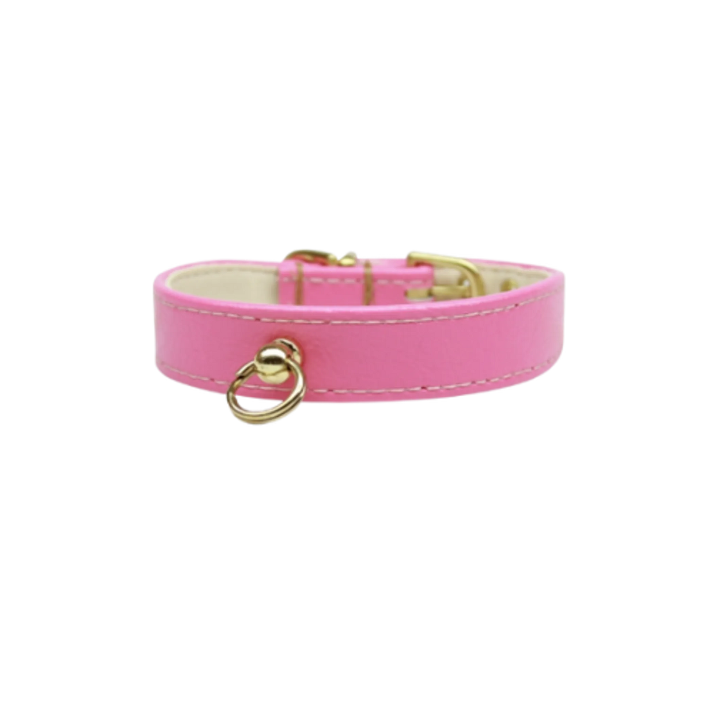 Bee Mine Dog Collar - Your Pet Connection