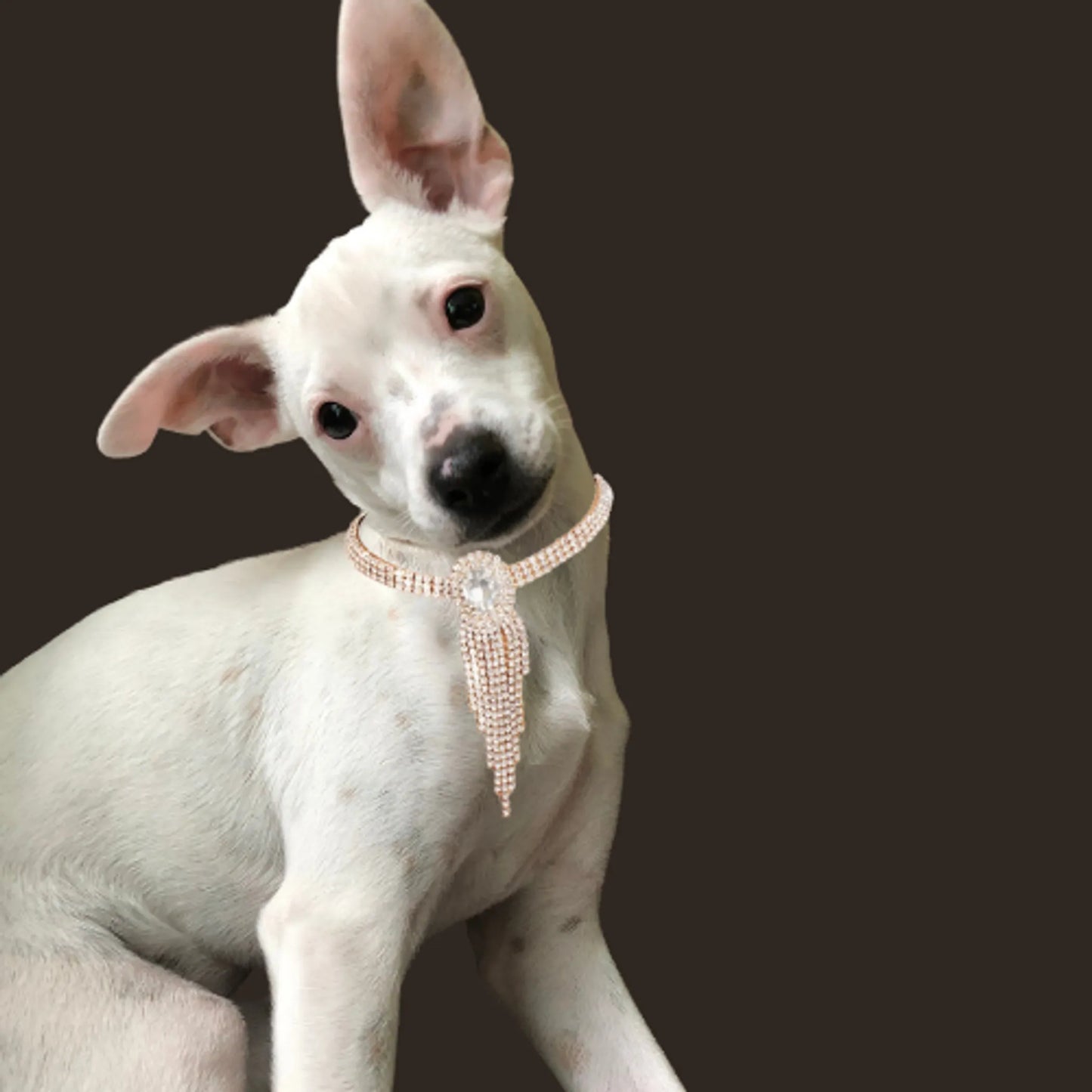 Gold Fringe Rhinestone Necklace - Your Pet Connection