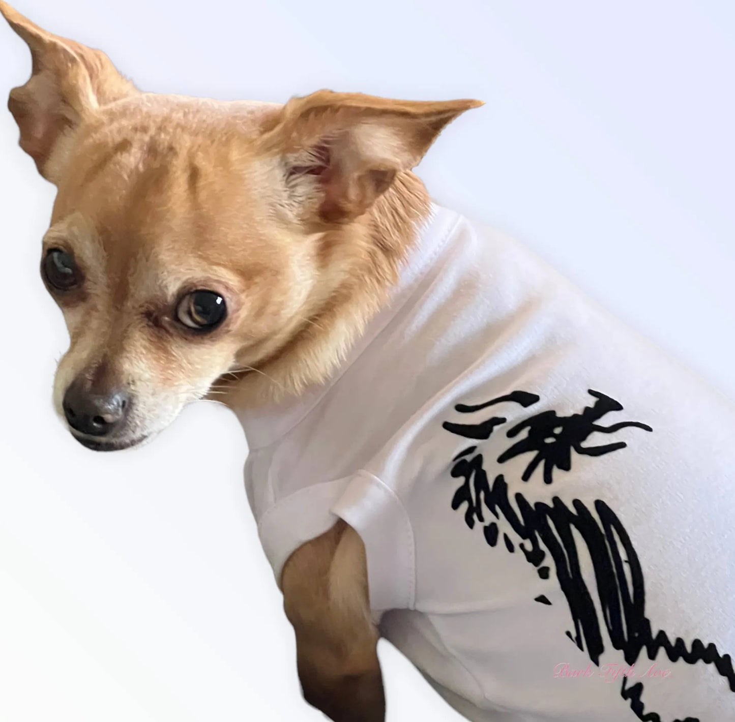 Hairmes Dragon Tee - Your Pet Connection
