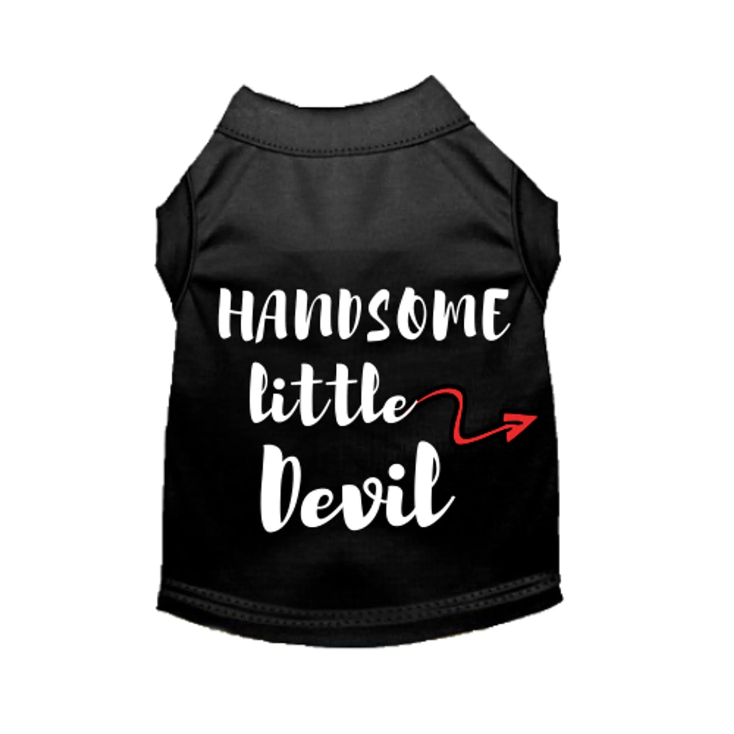 Handsome Little Devil - Your Pet Connection