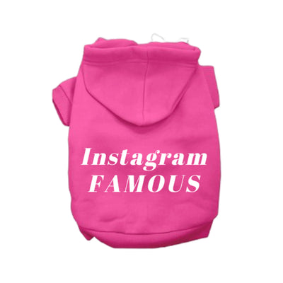 IG Famous Hoodie - Your Pet Connection