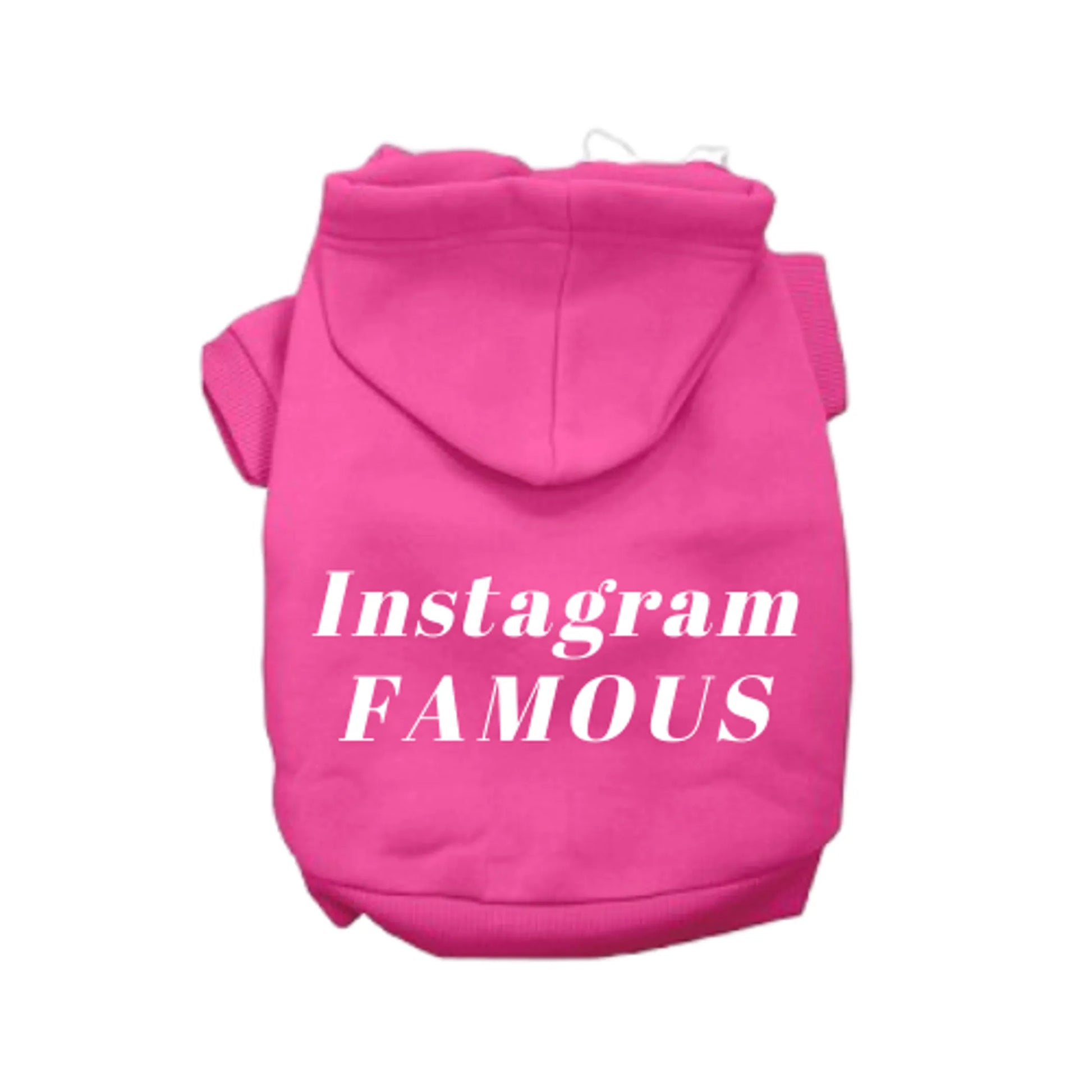 IG Famous Hoodie - Your Pet Connection