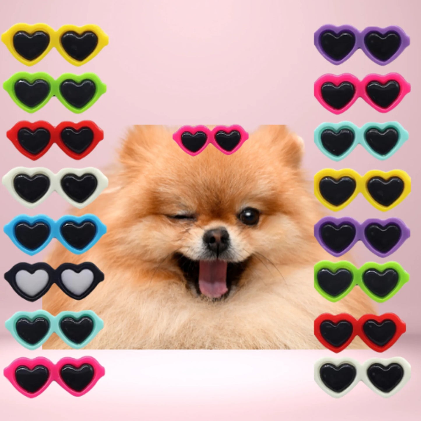 My Heart Shaped Sunnies- Dog Hair Clips - Your Pet Connection