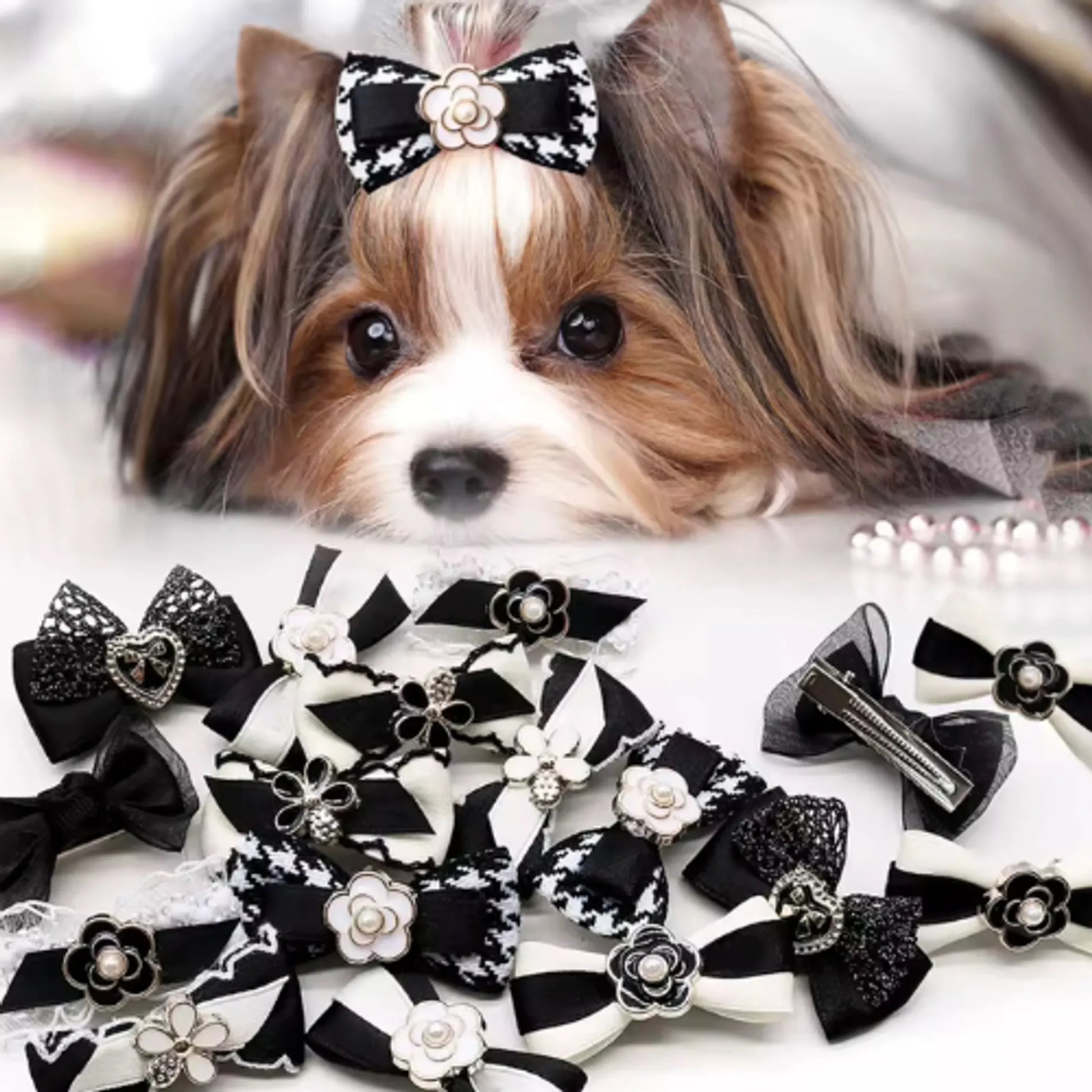 Maison gance Haute Couture Pet Bow Collection - Your Pet Connection