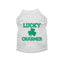 Lucky Charmer St. Patrick's Day Dog Tee - Your Pet Connection