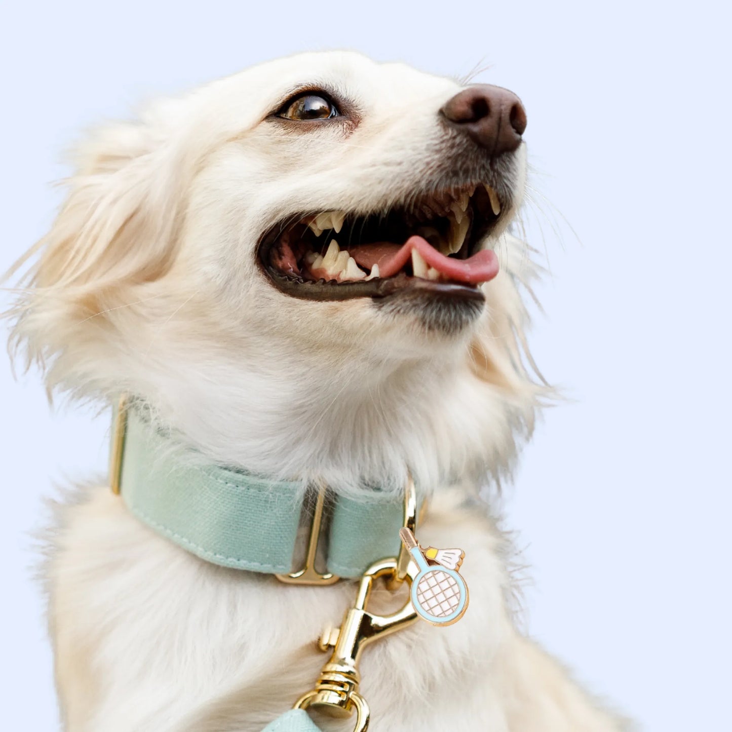 Bark Fifth Avenue Pickleball Accessory Set - For Dog Dads