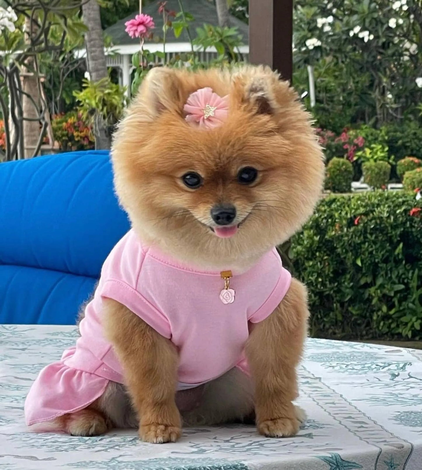 Cameilla Casual Dress - Your Pet Connection