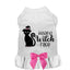 Resting Witch Face Dog Dress - Your Pet Connection
