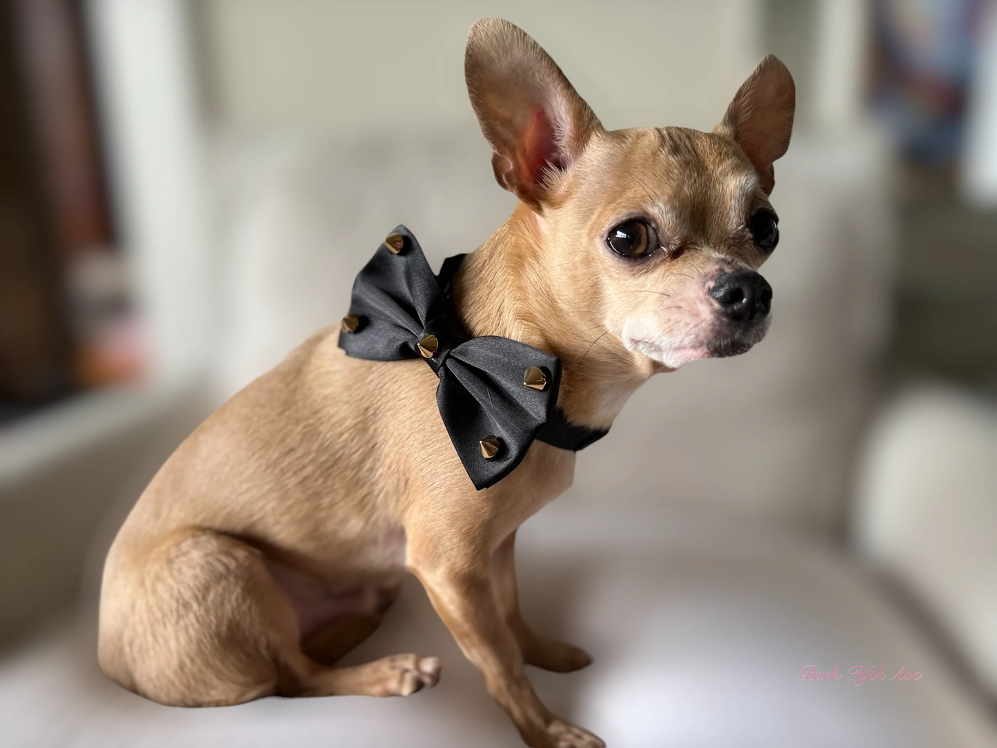 Dapper Satin Stud & Rhinestone Bowtie