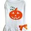 Puffed Pumpkin Dog Outfit - Your Pet Connection