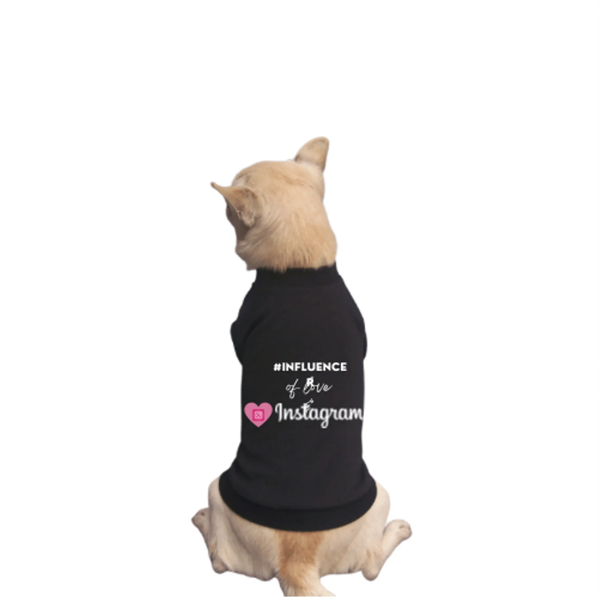 #INFLUENCER of Love & Instagram - Pack Of: 1 - Your Pet Connection
